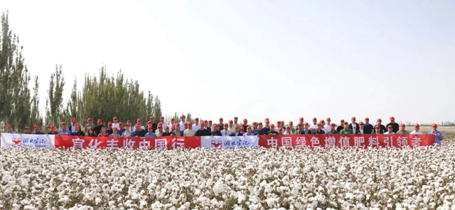 宜化豐收中國行！新疆棉花大型測產觀摩會成功舉行